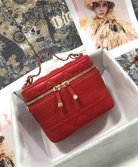 Christian Dior The Leather Vanity Bag Red